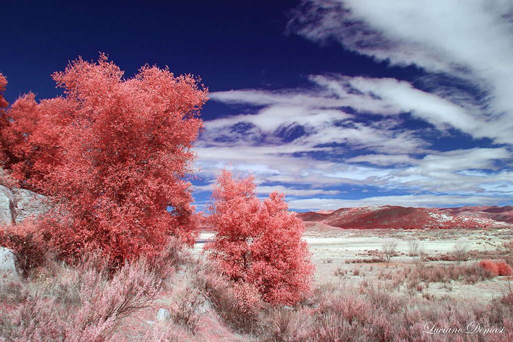 INFRARED LAKE MORENA FEB18 2018 550 (11) FINAL 02